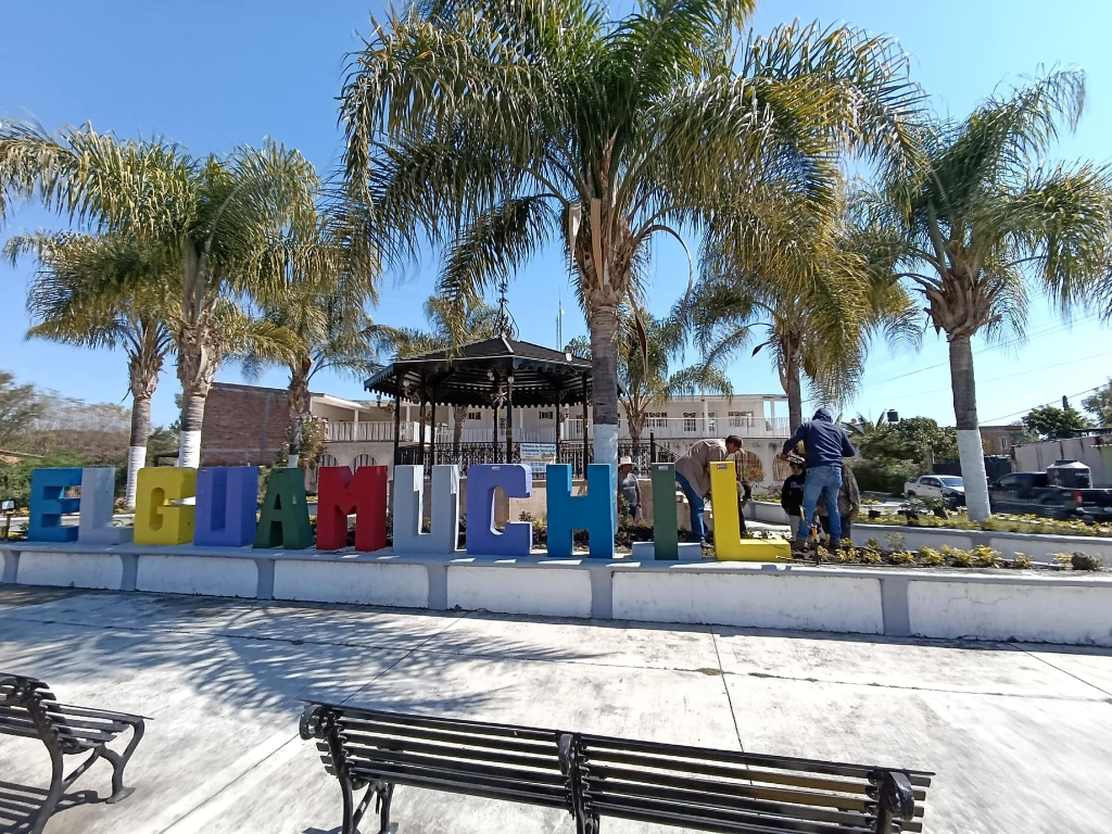 Reforestación en la comunidad del&nbsp;Guamuchil