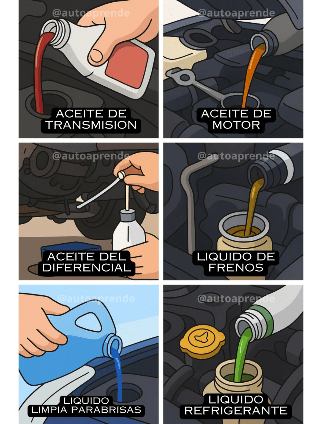 ¿Cada cuándo cambiar los líquidos de tu&nbsp;vehículo?