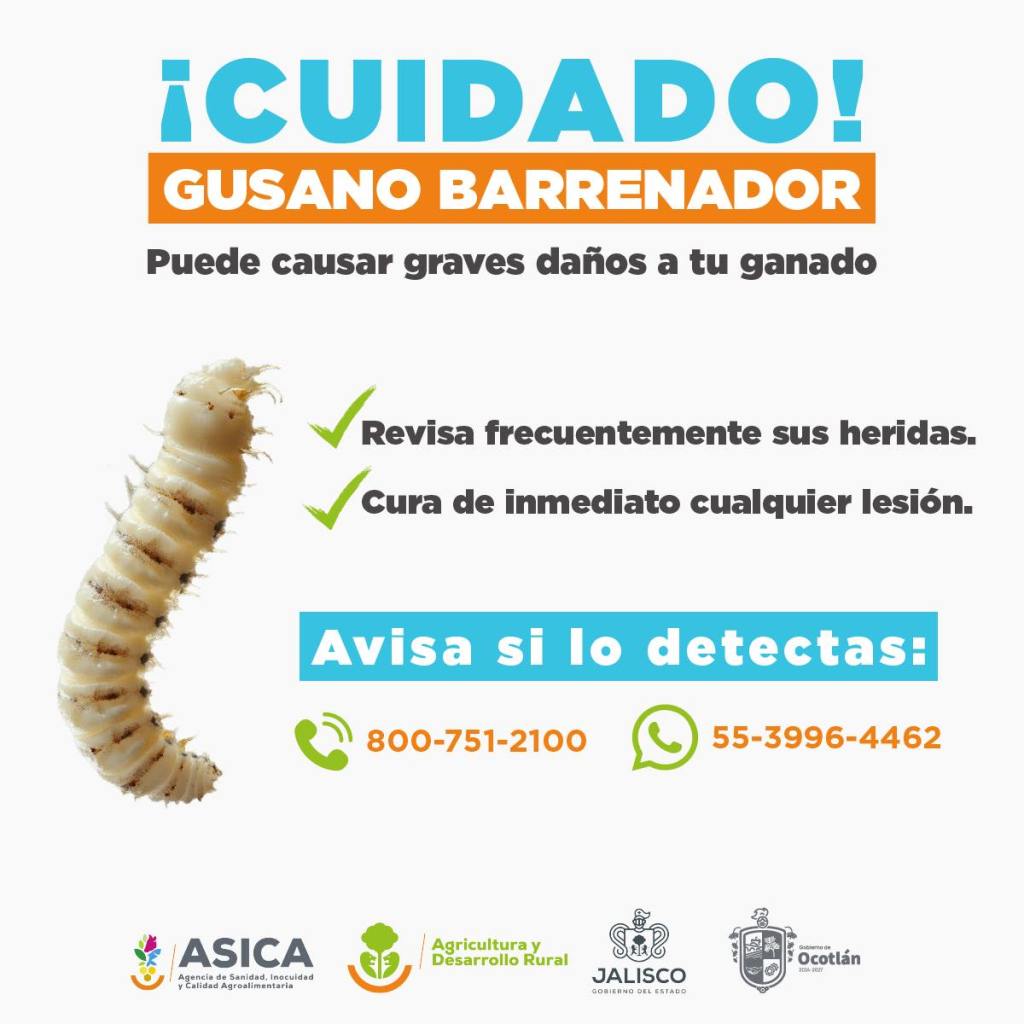 ¡Ganaderos de Ocotlán!