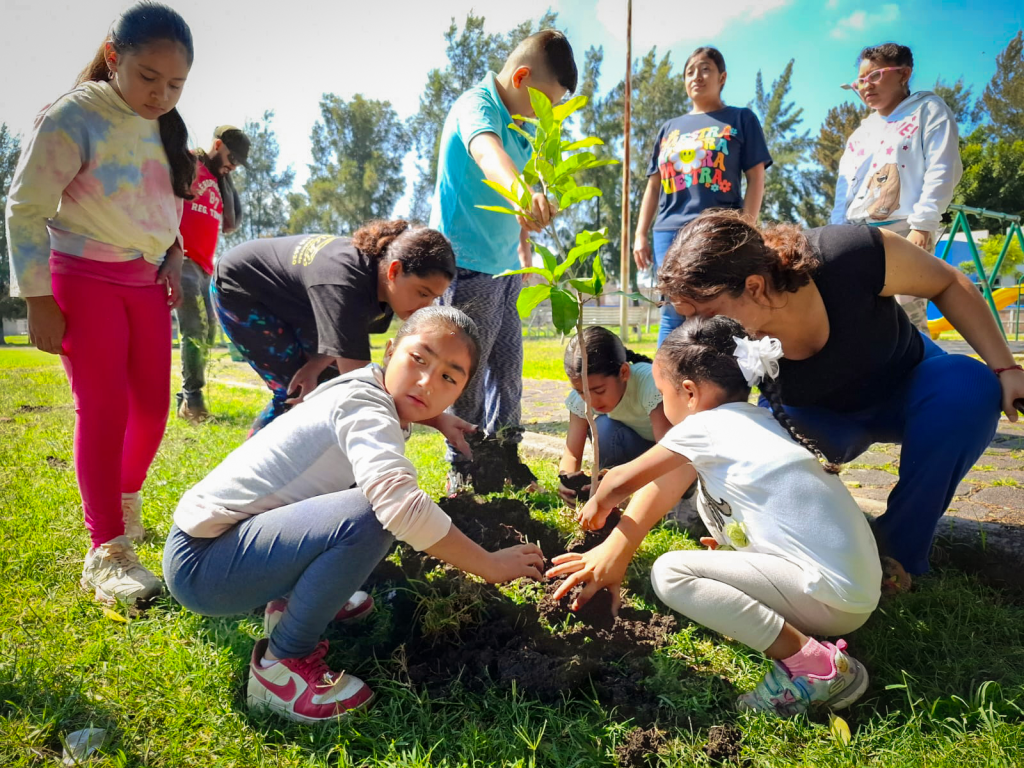 🌱 San Isidro suma 25 nuevos árboles a su paisaje&nbsp;urbano