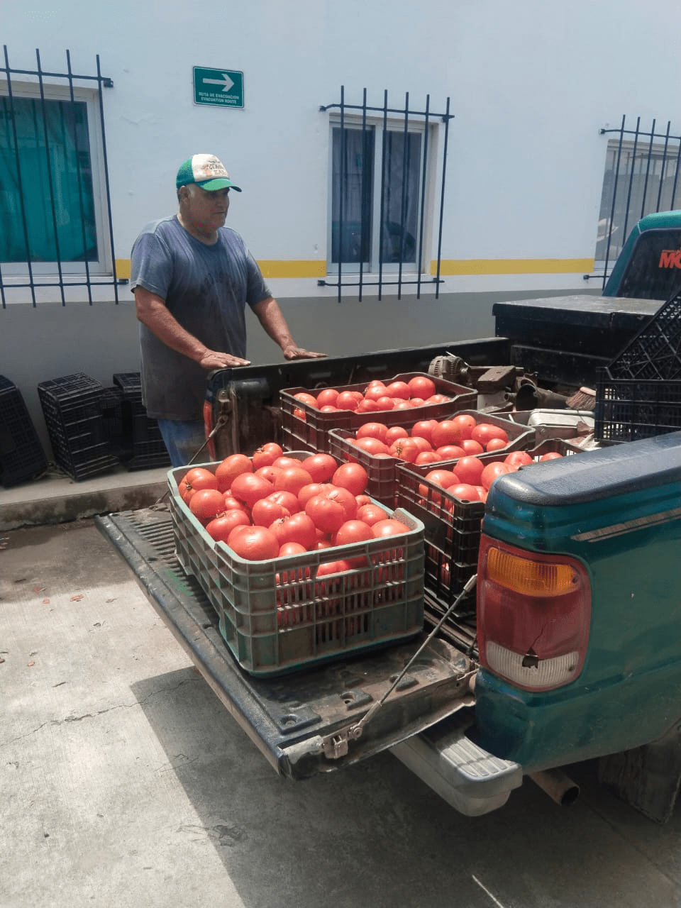 La Barca fortalece el apoyo alimentario con donación de jitomate bola para comunidades del&nbsp;municipio