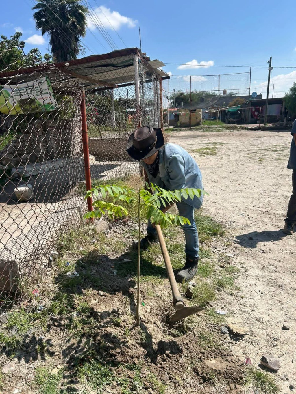 Reforestación en San Pedro de Ruiz, La&nbsp;Barca