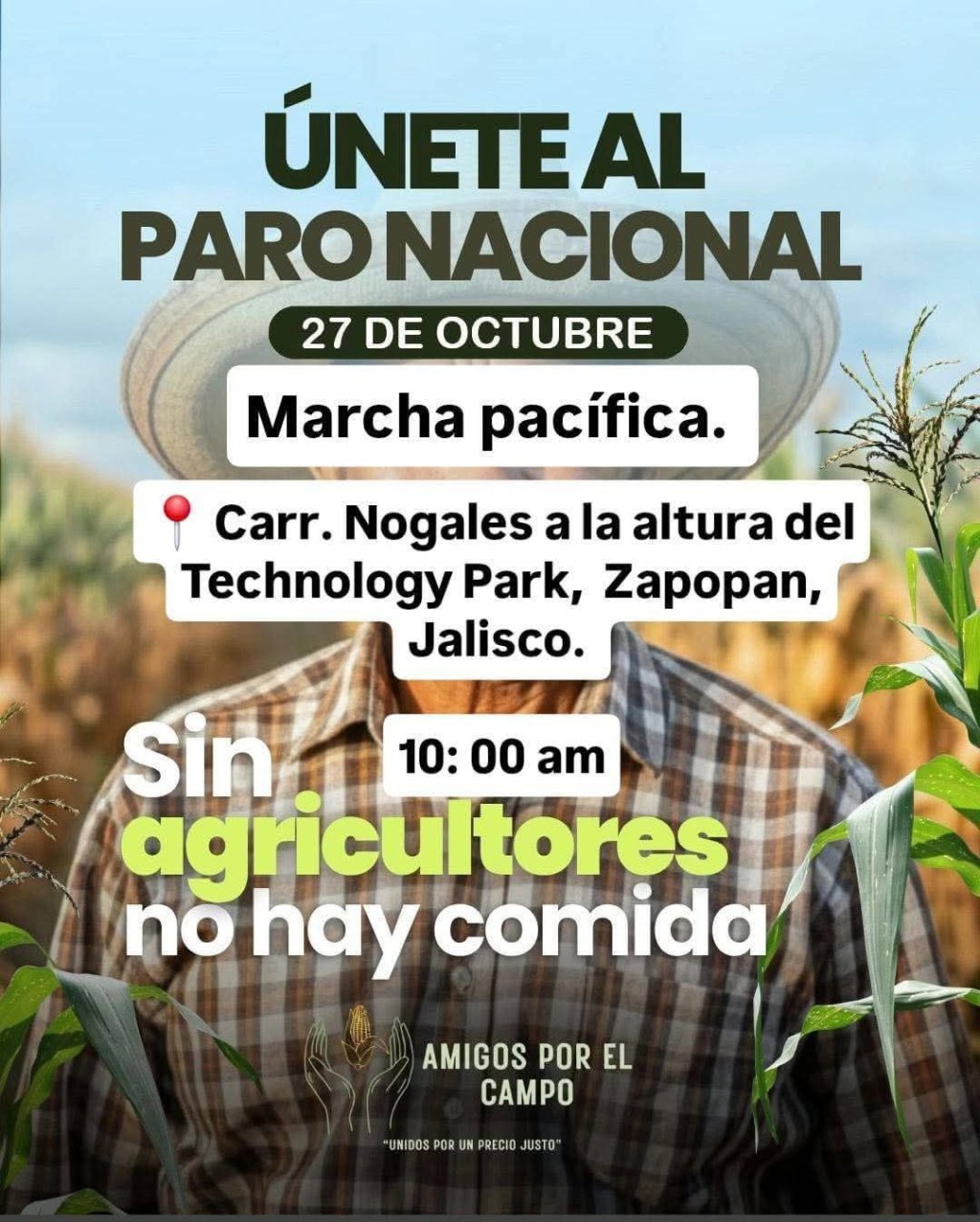 𝗝𝗮𝗹𝗶𝘀𝗰𝗼 𝘀𝗲 𝗽𝗿𝗲𝗽𝗮𝗿𝗮 𝗽𝗮𝗿𝗮 𝗯𝗹𝗼𝗾𝘂𝗲𝗼𝘀 𝗰𝗮𝗿𝗿𝗲𝘁𝗲𝗿𝗼𝘀 𝗽𝗼𝗿 𝗰𝗿𝗶𝘀𝗶𝘀 𝗱𝗲𝗹&nbsp;𝗺𝗮𝗶́𝘇🌽