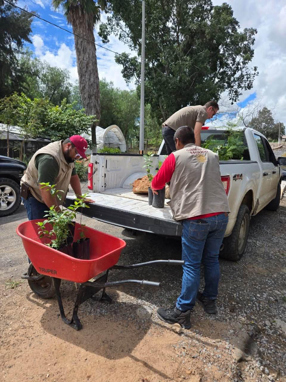 LA BARCA IMPULSA LA REFORESTACIÓN CON ÁRBOLES NATIVOS🌳